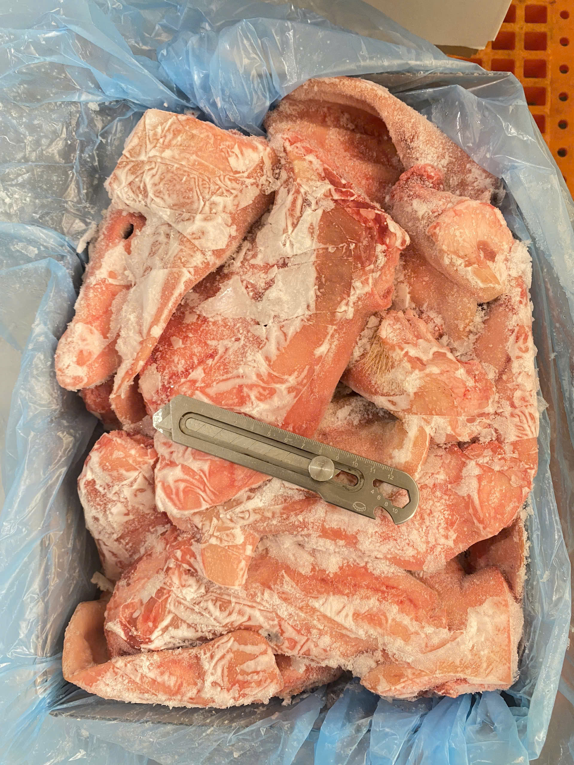 Tai heo West (10kg / Thùng)