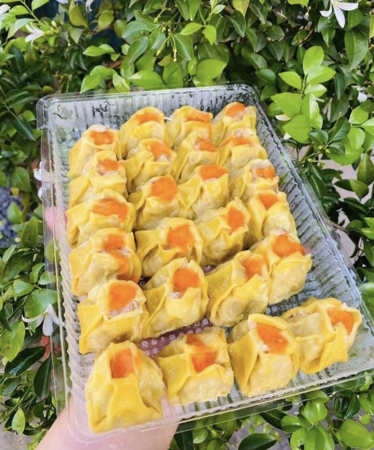 Xíu mại LC (500g / Gói)