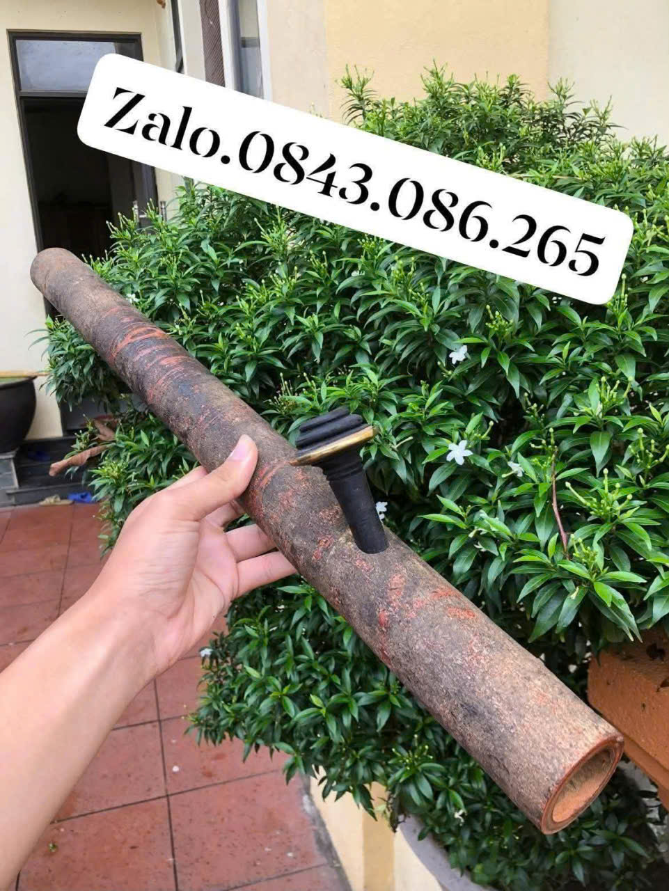 Điếu quế mộc