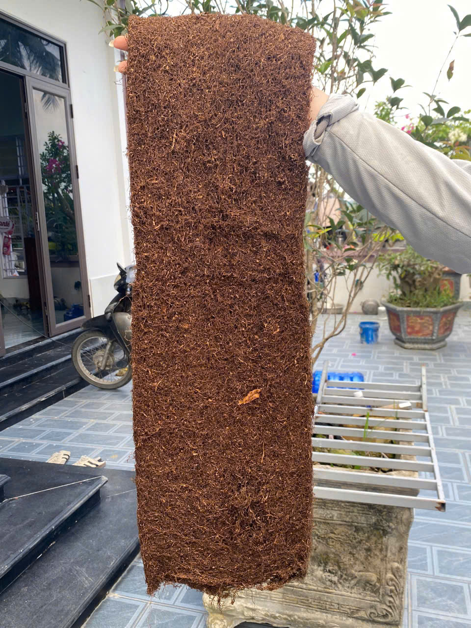 Thuốc lào Thanh hóa bình dân