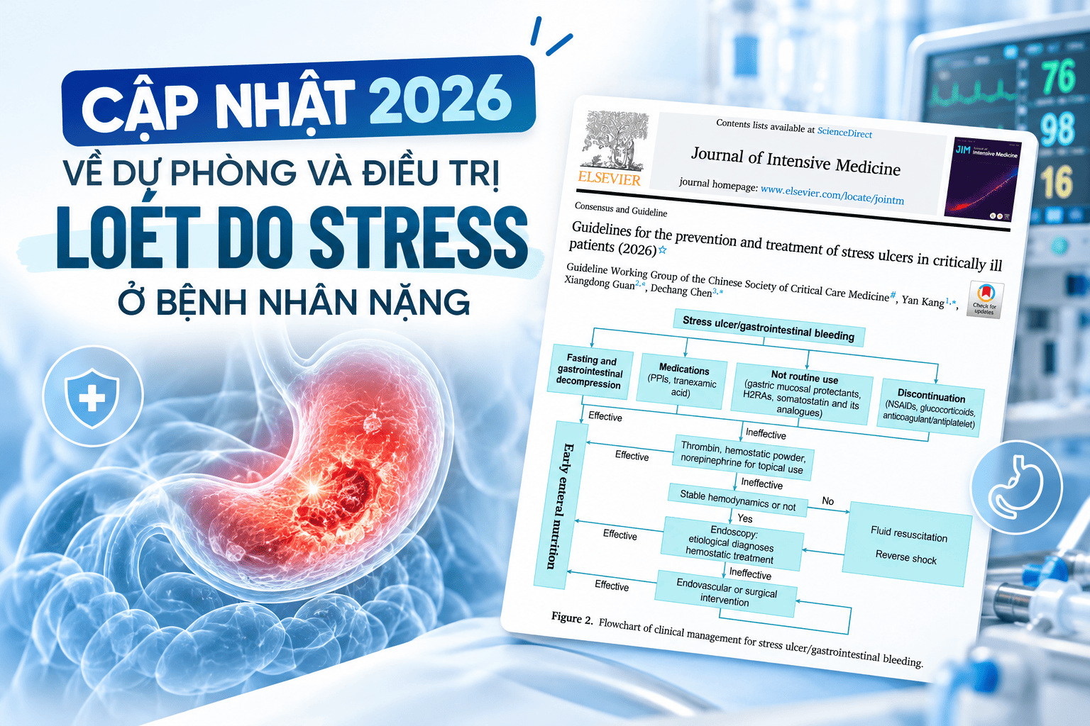 Cập nhật 2026 về dự phòng và điều trị loét do stress ở bệnh nhân nặng