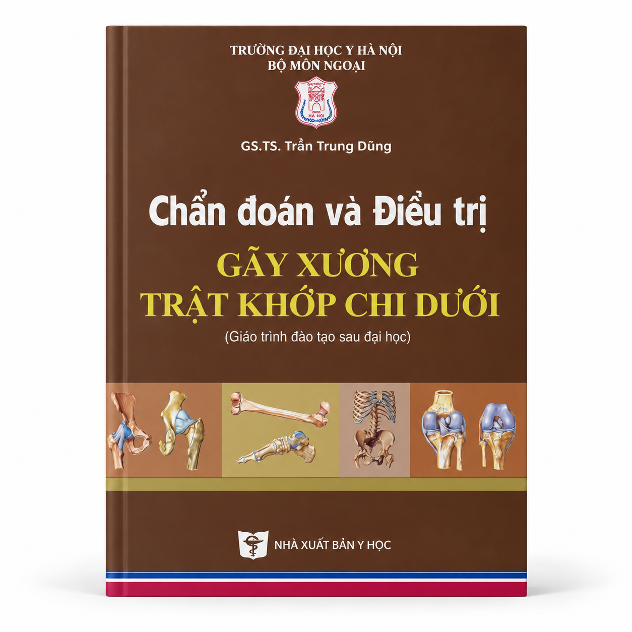 Chẩn đoán và điều trị gãy xương trật khớp chi dưới (Giáo trình đào tạo sau đại học)