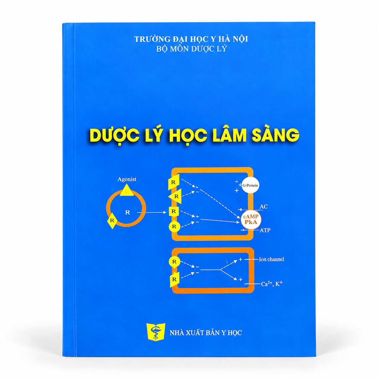 Dược Lý Học Lâm Sàng - Trường Đại học Y Hà Nội