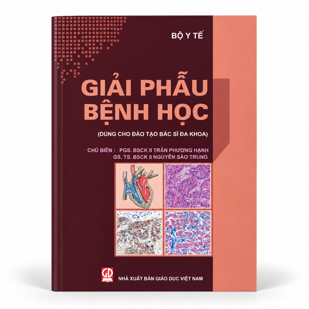 Giải Phẫu Bệnh Học - Bộ Y Tế