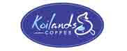 Brand 6