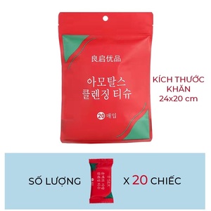 Khăn nén du lịch, túi 20 chiếc khăn nén Hàn Quốc, khăn giấy nén dẻo dai, an toàn với da, nhỏ gọn, thấm hút tốt