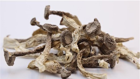 Nấm Nhung Hươu Khô, Quy cách:250gr*40 gói, Trọng lượng 10kg/ thùng