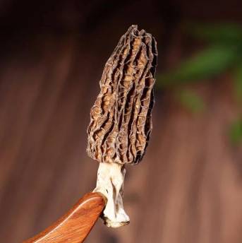 Nấm Bụng Dê Khô, Trọng lượng: 250gr/gói, Quy cách: 24 gói/thùng