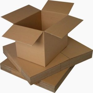 HỘP BÌA CATTON NMN THINGO