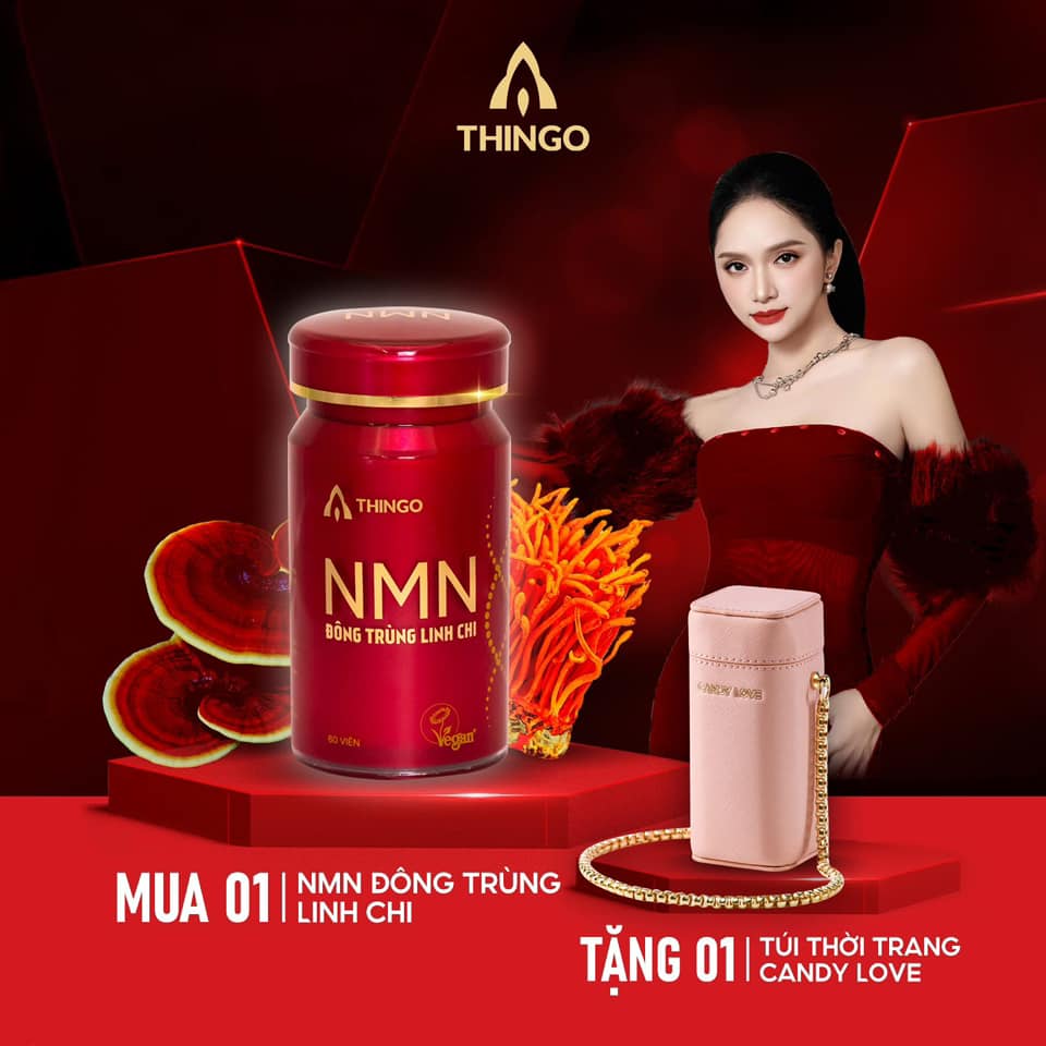 COMBO 1 HỘP MN ĐÔNG TRÙNG LINH CHI TẶNG 1 TÚI CANDY LOVE