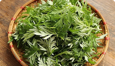 Lợi ích của ngải cứu trong chăm sóc da
