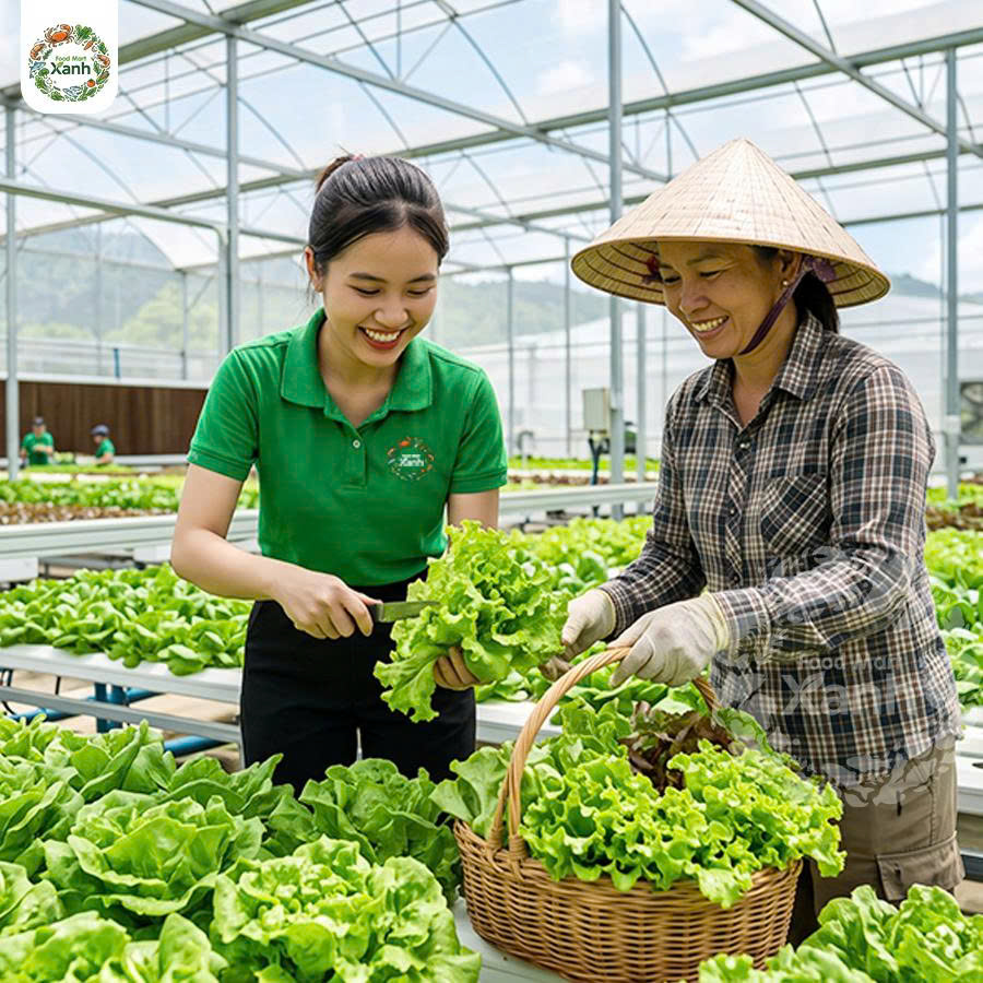 Rau củ chuẩn VietGAP