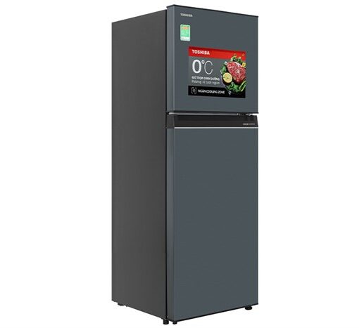 Tủ Lạnh Toshiba GR-RT303WE-PMV(52)