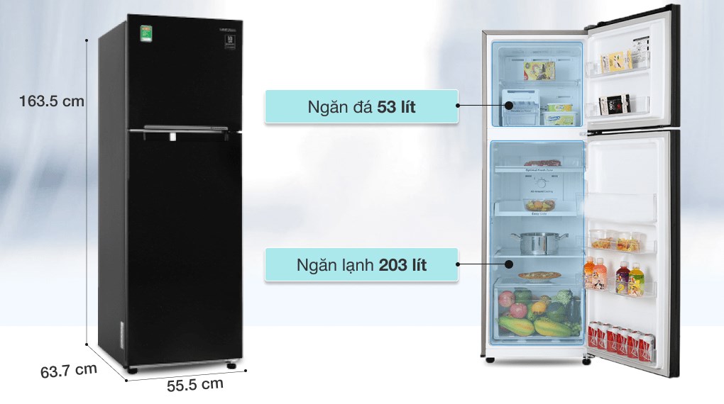 Tủ Lạnh Samsung RT25M4032BU/SV