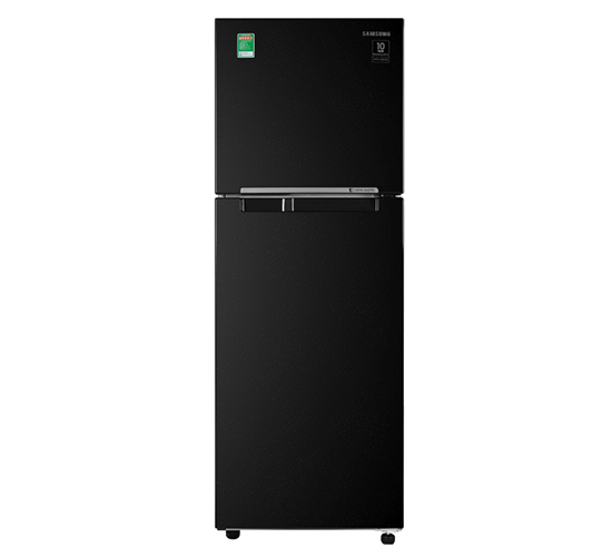 Tủ Lạnh Samsung RT25M4032BU/SV