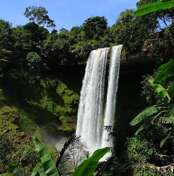 sàn thép chịu lực