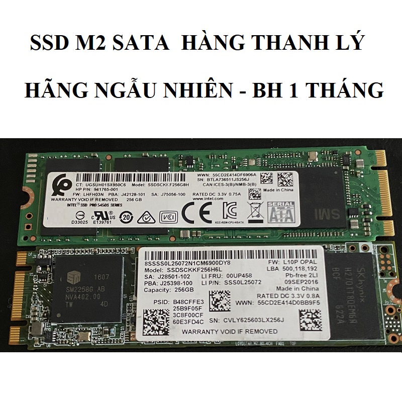 Ổ CỨNG SSD M2 128GB, 256GB, 512GB thanh lý, M2 SATA, M2 NVME sk thấp, BH 1 tháng
