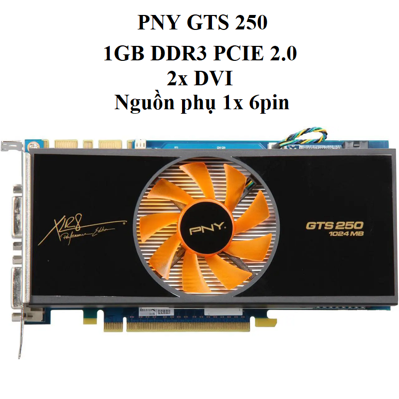 CARD PNY GTS 250 1B D3