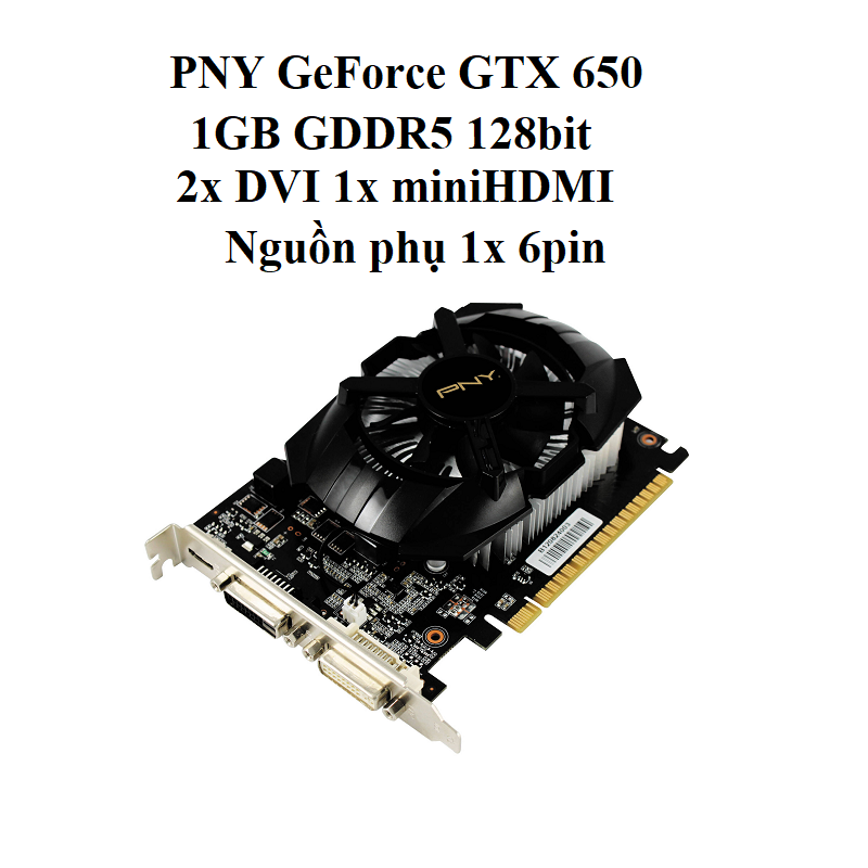CARD PNY GTX 650 - 1GB