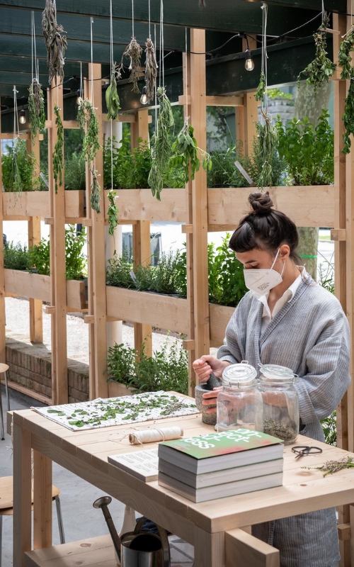 Bảo dưỡng & Chăm sóc Cây xanh
