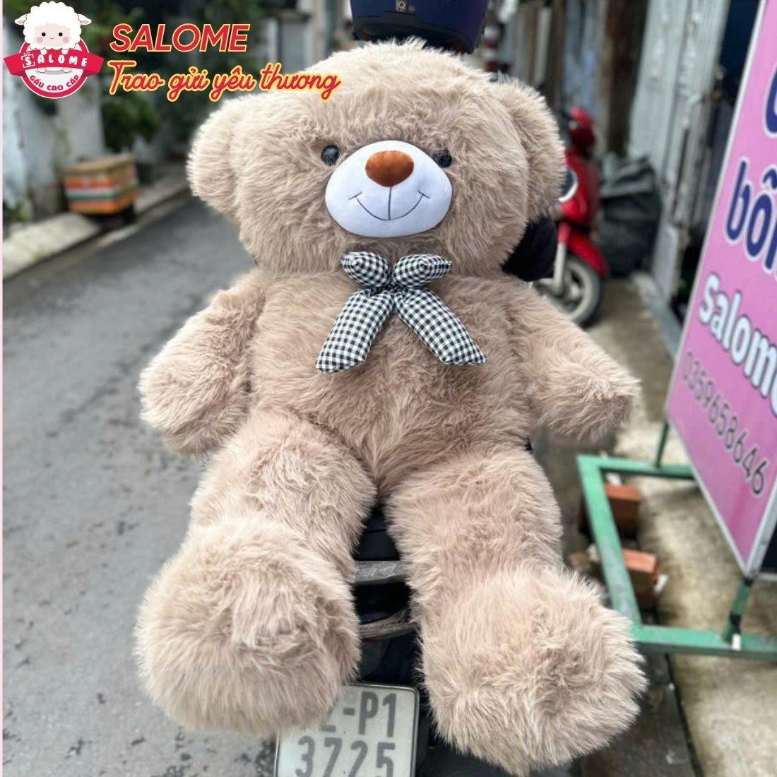 Gấu Bông Teddy Lông Kim Chồn Cao Cấp