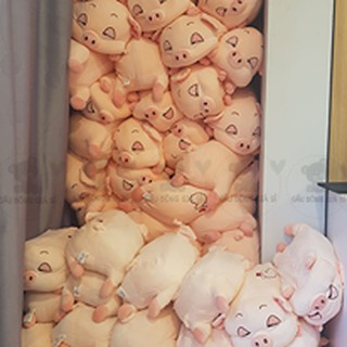 Gấu Bông Heo Mắt Híp