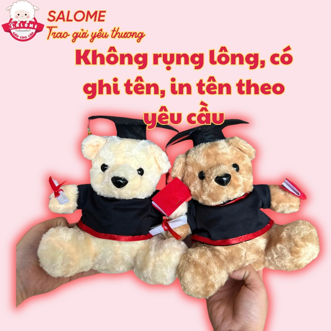 Gấu Tốt Nghiệp, Gấu Cử Nhân