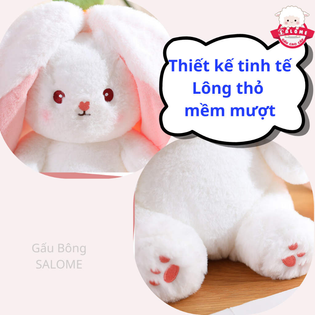Gấu Bông Thỏ Trong Quả Thỏ Trái Cây