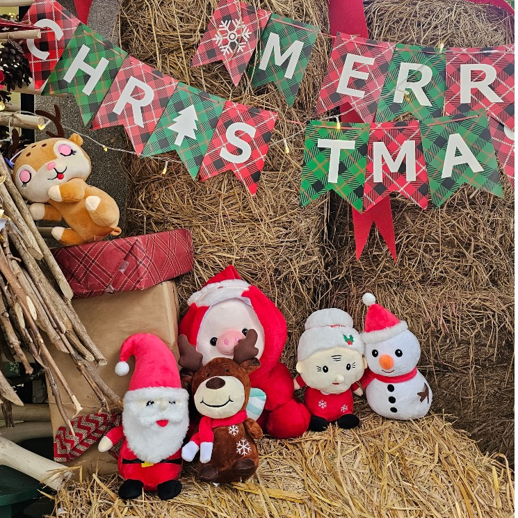 Gấu Bông Heo Ôm Bình Sữa Đội Nón Ông Gìa Noel Size 30cm