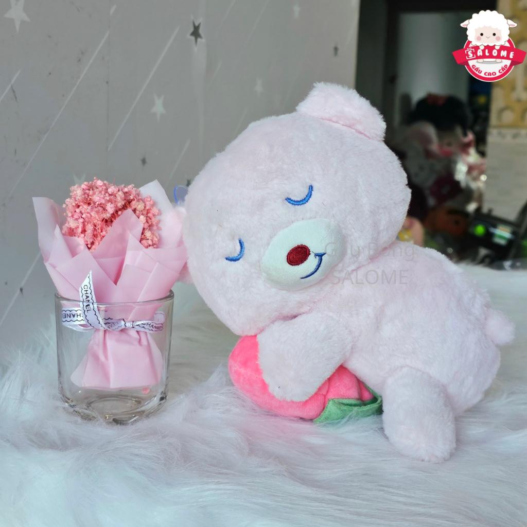 Gấu Dâu Ôm Trái Dâu Mini Nhí 20cm 69k SALOME tp HCM, Thú Teddy Lotso Cao Cấp