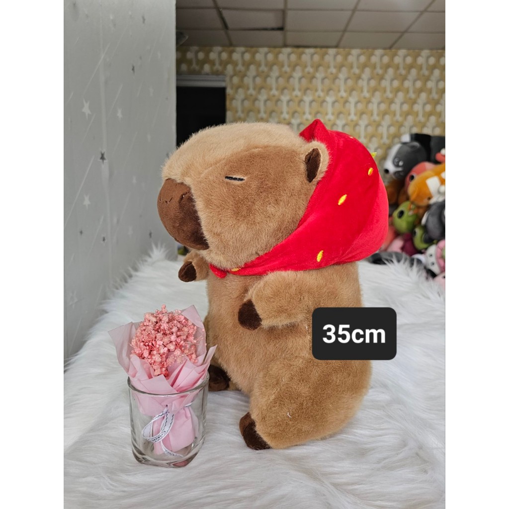Gấu Bông Capybara Đeo Nón Dâu