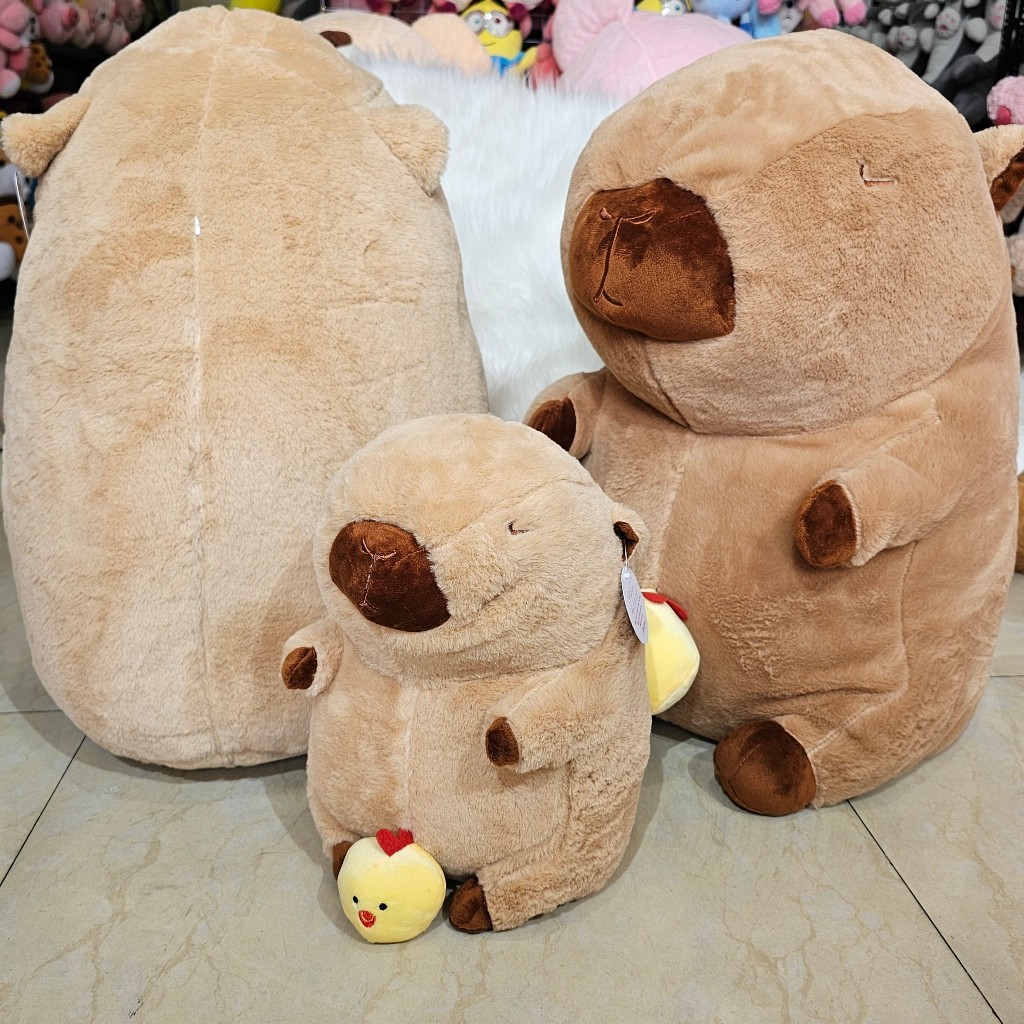 Gấu Bông Capybara Chim Gà