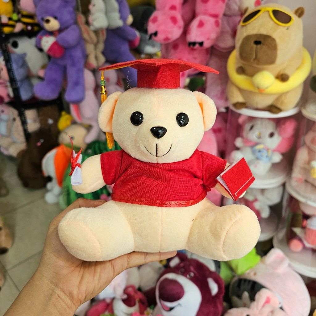 Gấu Tốt Nghiệp, Gấu Cử Nhân