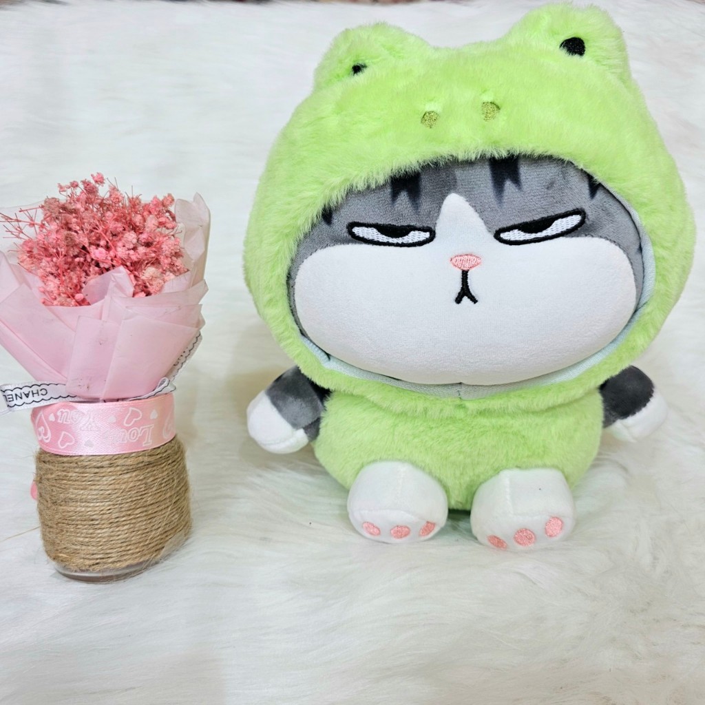 Gấu bông mèo hoàng thượng nón thú ngồi