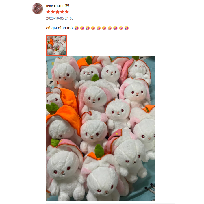 Gấu Bông Thỏ Trong Quả Thỏ Trái Cây
