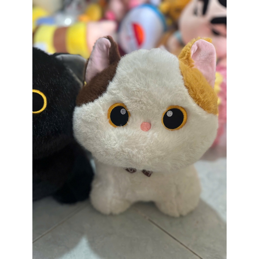 Gấu bông mèo đen, mèo tam thể, mèo xiêm