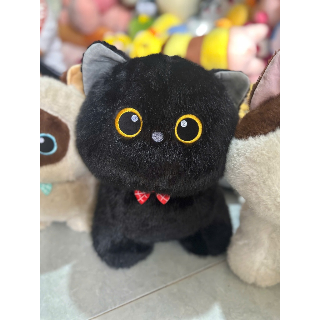 Gấu bông mèo đen, mèo tam thể, mèo xiêm