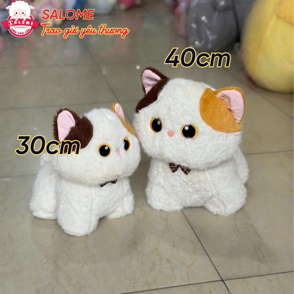 Gấu bông mèo đen, mèo tam thể, mèo xiêm
