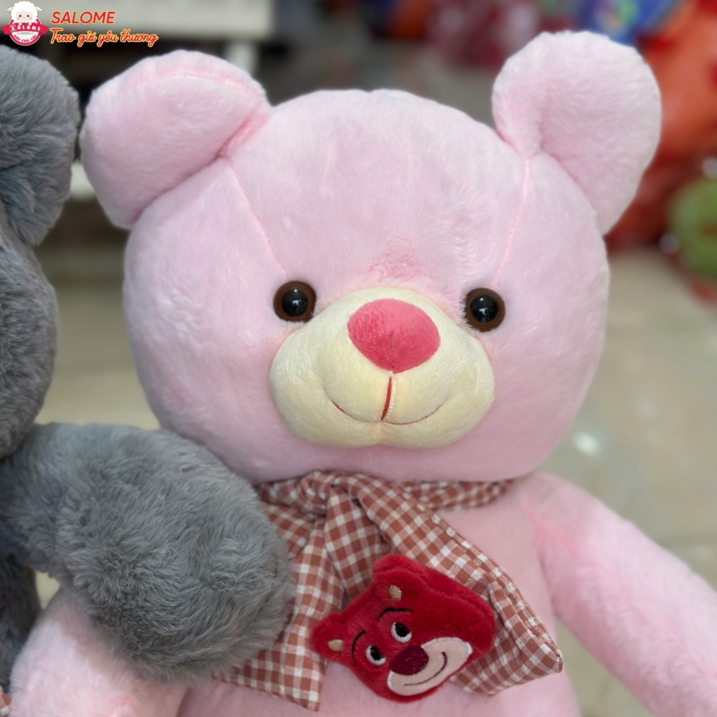 Gấu bông teddy quàng khăn