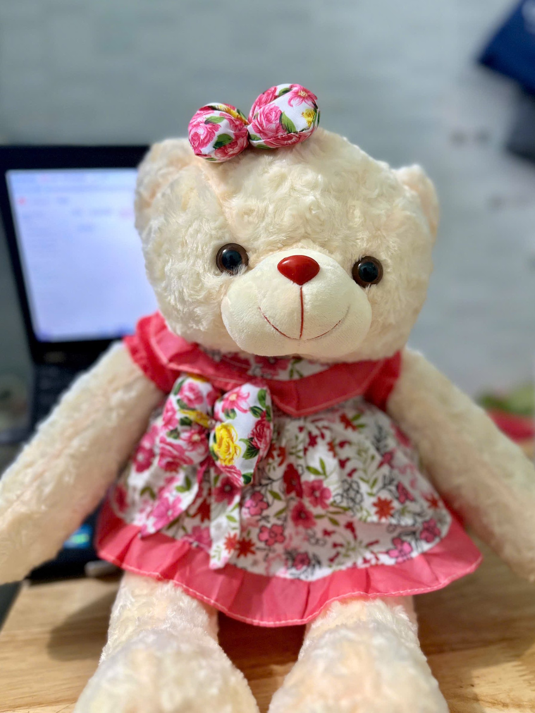 Gấu bông Teddy váy hoa