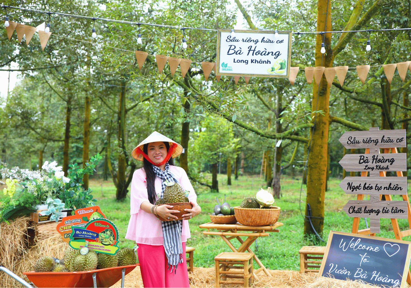 Farm Sầu Riêng Bà Hoàng Long Khánh: Hành Trình Từ Vườn Đến Trái Sầu Riêng Chín Tự Nhiên