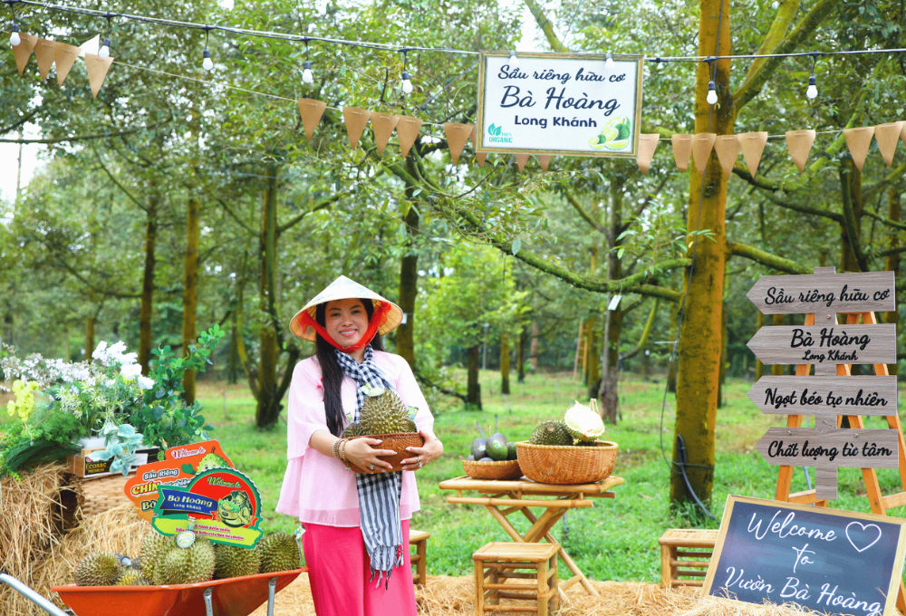 Farm Sầu Riêng Bà Hoàng Long Khánh: Hành Trình Từ Vườn Đến Trái Sầu Riêng Chín Tự Nhiên