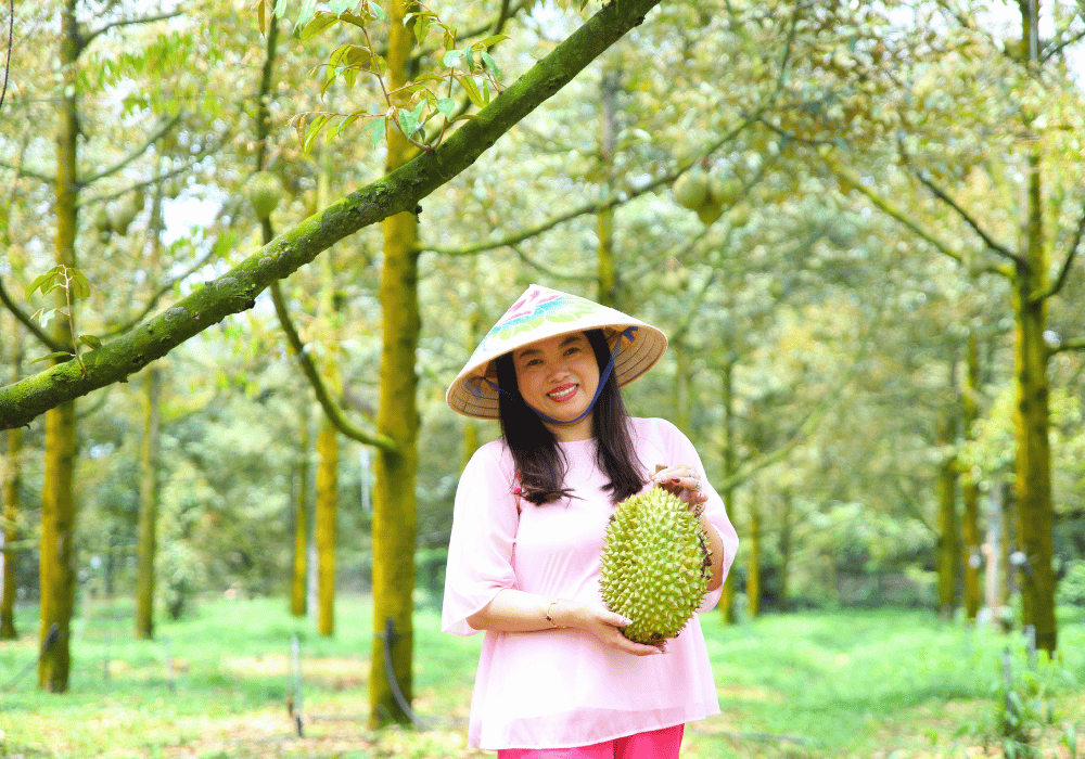 Mô Hình Trồng Sầu Riêng Hữu Cơ Tại Bà Hoàng Long Khánh Có Gì Đặc Biệt?