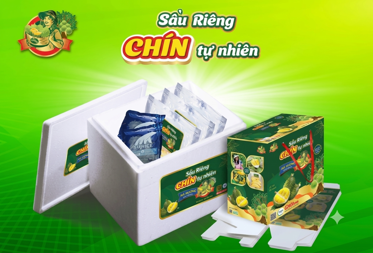 Có Nên Mua Sầu Riêng Làm Lạnh Sâu Làm Quà