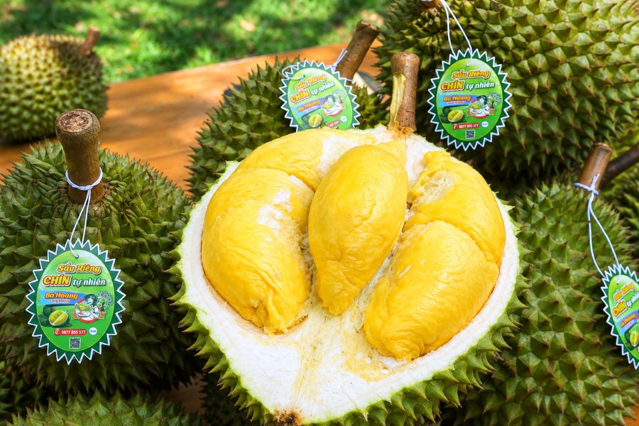 Người Tiểu Đường Có Ăn Sầu Riêng Được Không? Nên Ăn Bao Nhiêu?