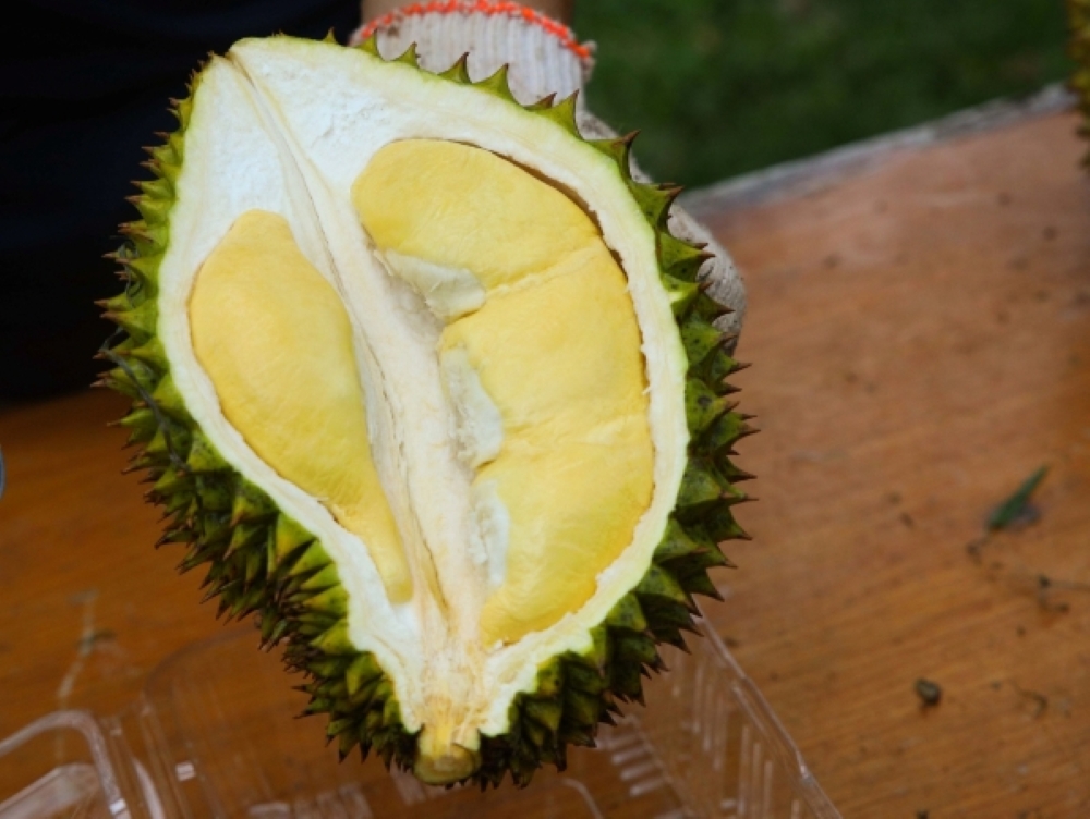 Cách chọn sầu riêng ngon