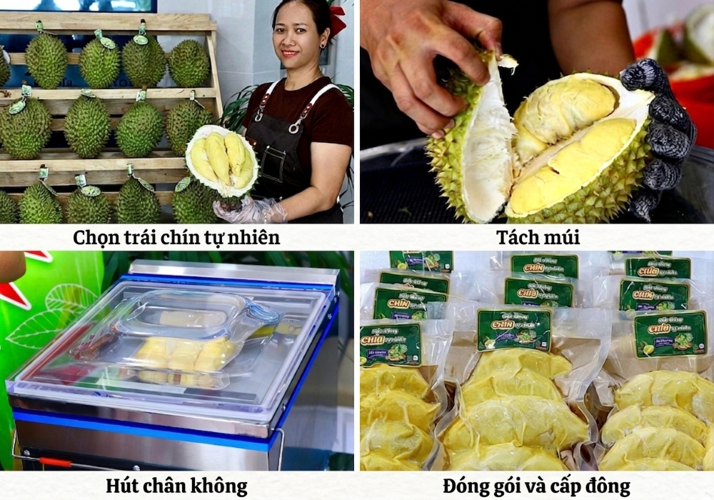 Quy trình đóng gói cấp đông sầu riêng chín tự nhiên