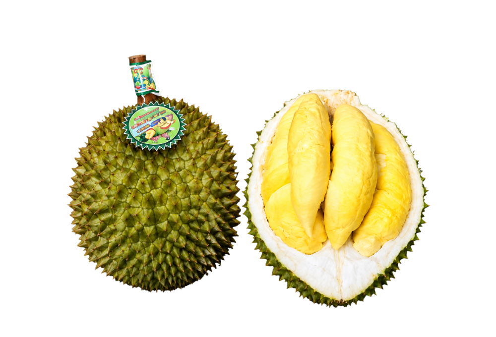 Trái sầu riêng chín vàng, vị ngọt béo đặc trưng Bà Hoàng Long Khánh