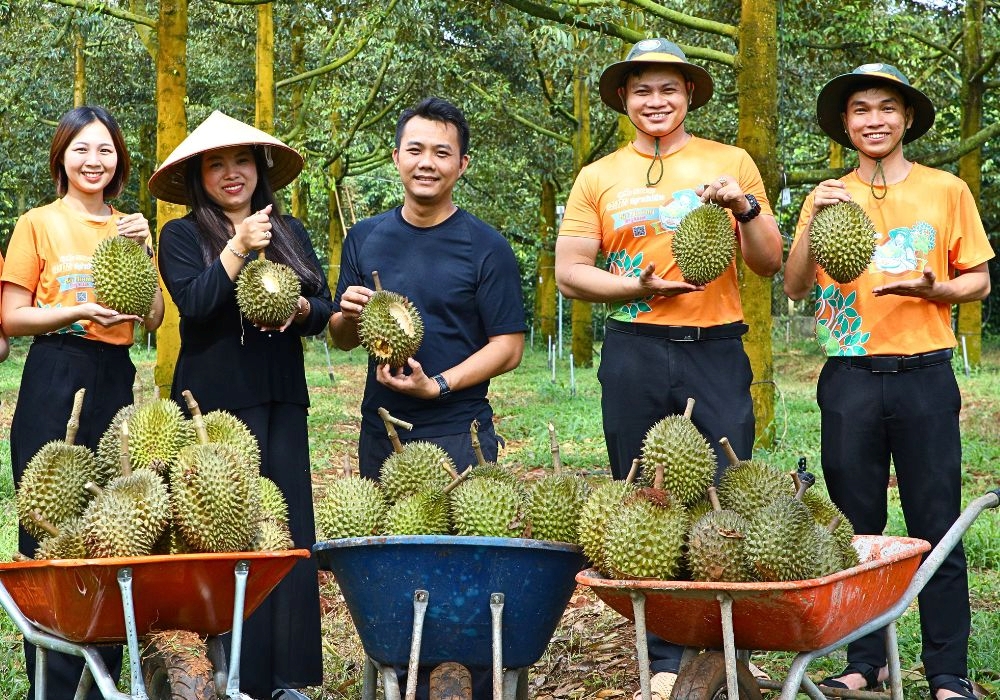 sầu riêng hữu cơ chín tự nhiên Bà Hoàng Long Khánh