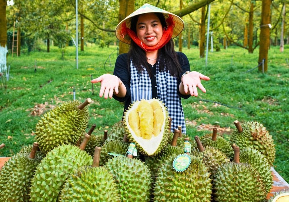 Sầu riêng chín tự nhiên Bà Hoàng Long Khánh